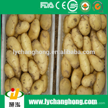 Exportador fresco de los potatos de la venta caliente 2014 de China